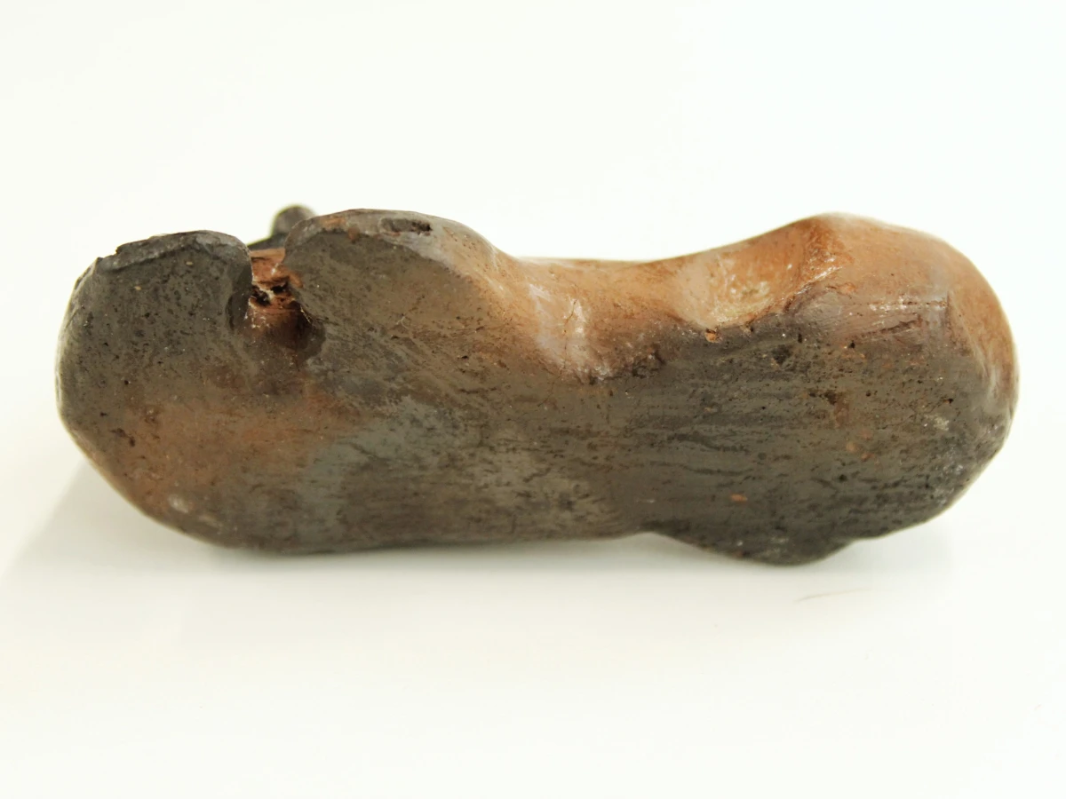 Decoratief keramisch beeldje van de leeuw van Juda