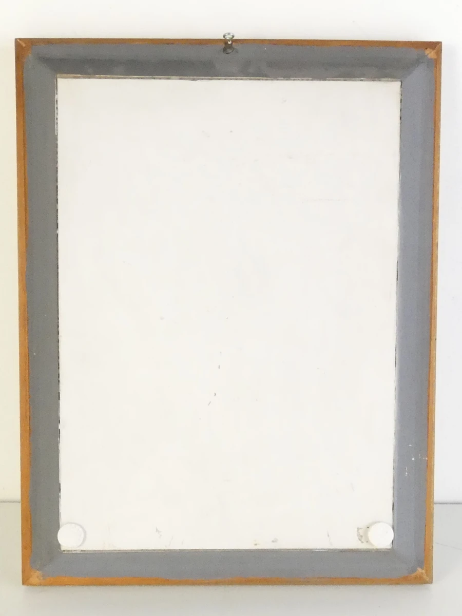 Vintage tropische vlindercollectie in lijst