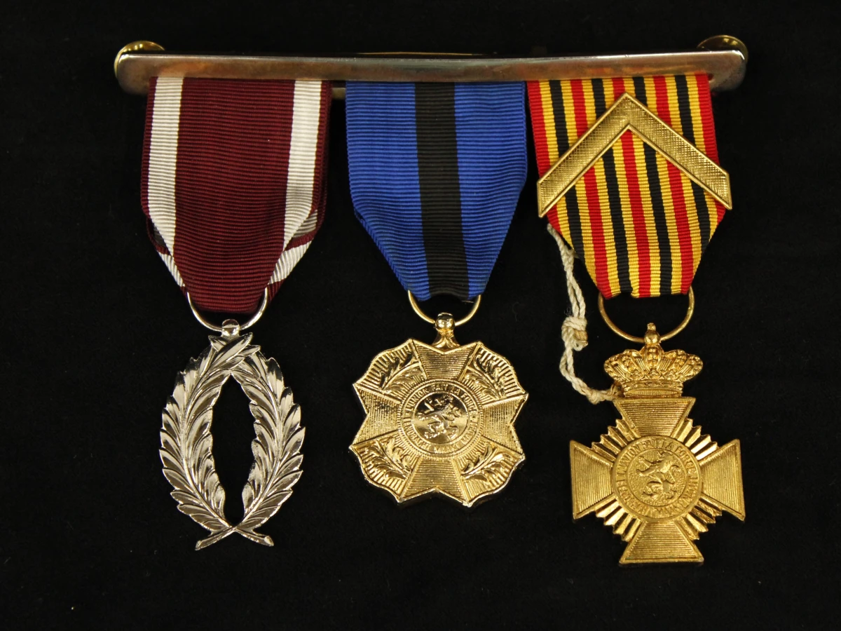 Set van diverse militaire medailles en insignes - foto 3