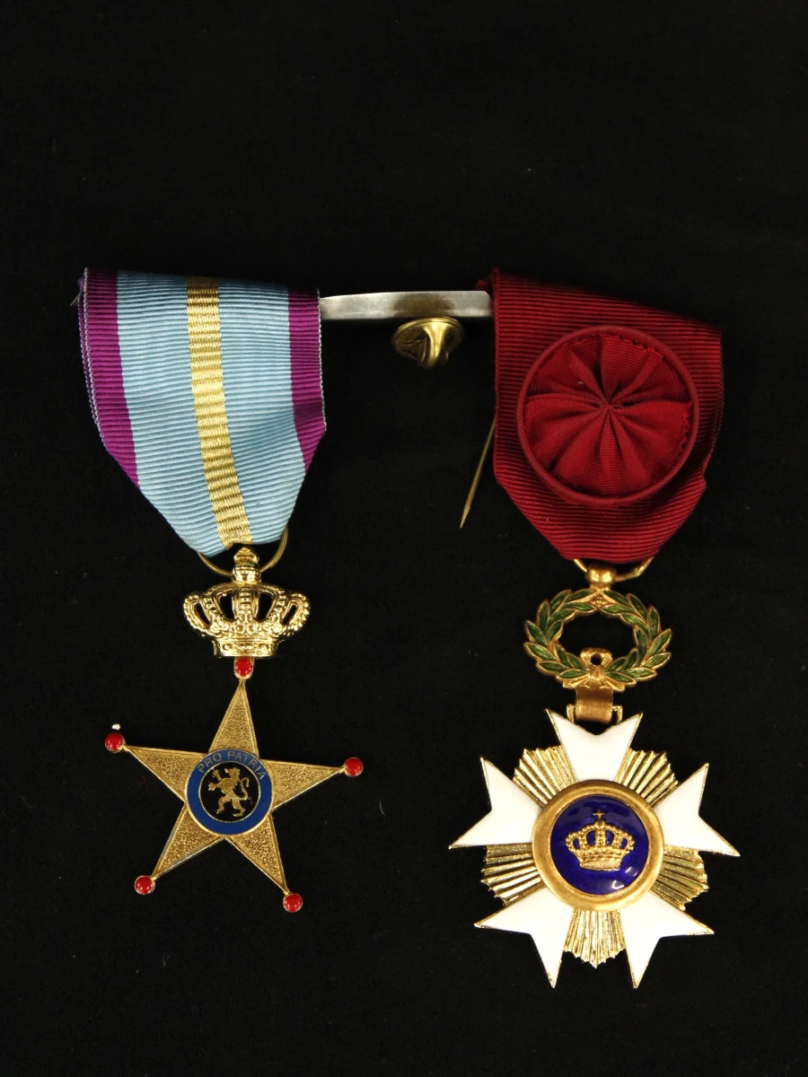 Set van diverse militaire medailles en insignes - foto 4