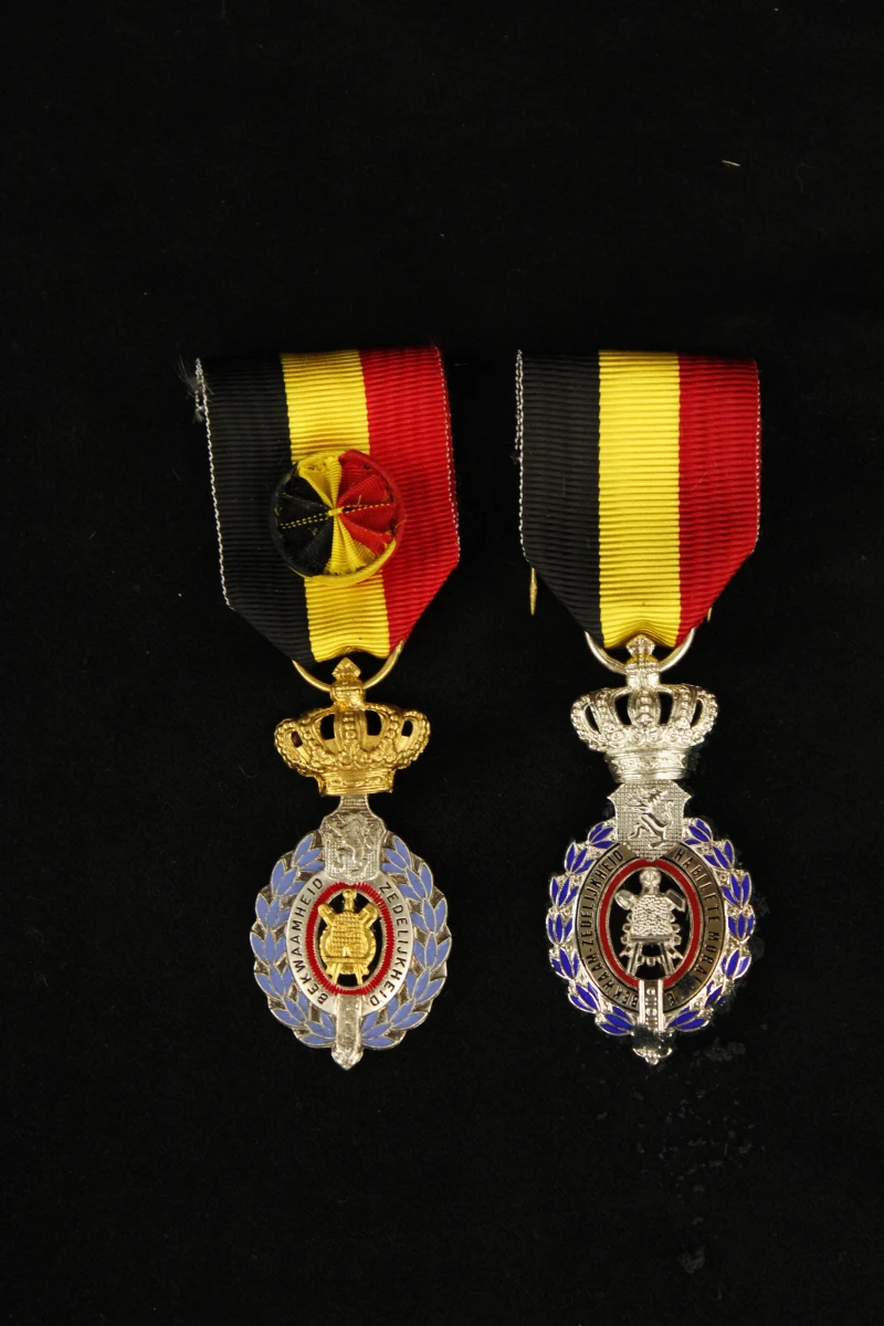 Set van diverse militaire medailles en insignes - foto 6