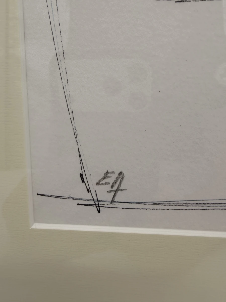 Verzameling kunstwerken van Frans De Vree - foto 6