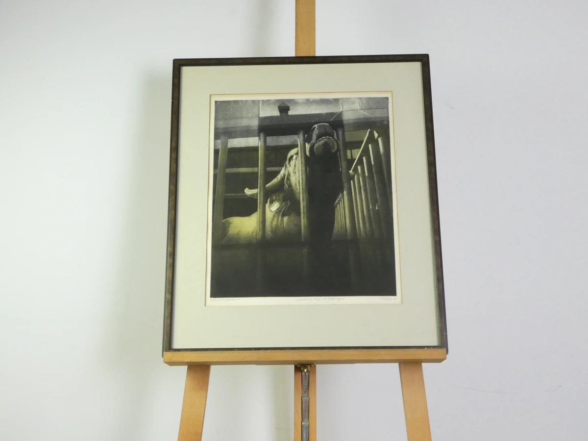 Set van 3 ingelijste litho's met buffels - foto 2