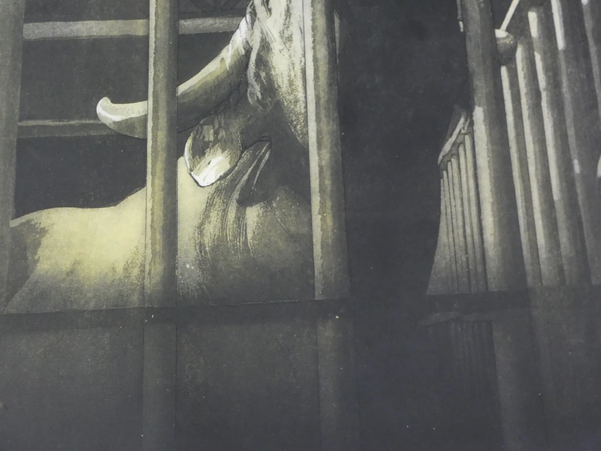 Set van 3 ingelijste litho's met buffels - foto 4