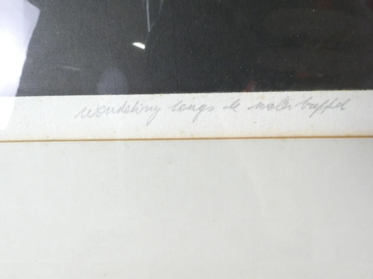 Set van 3 ingelijste litho's met buffels - foto 7