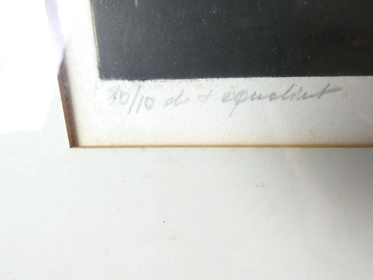 Set van 3 ingelijste litho's met buffels - foto 8