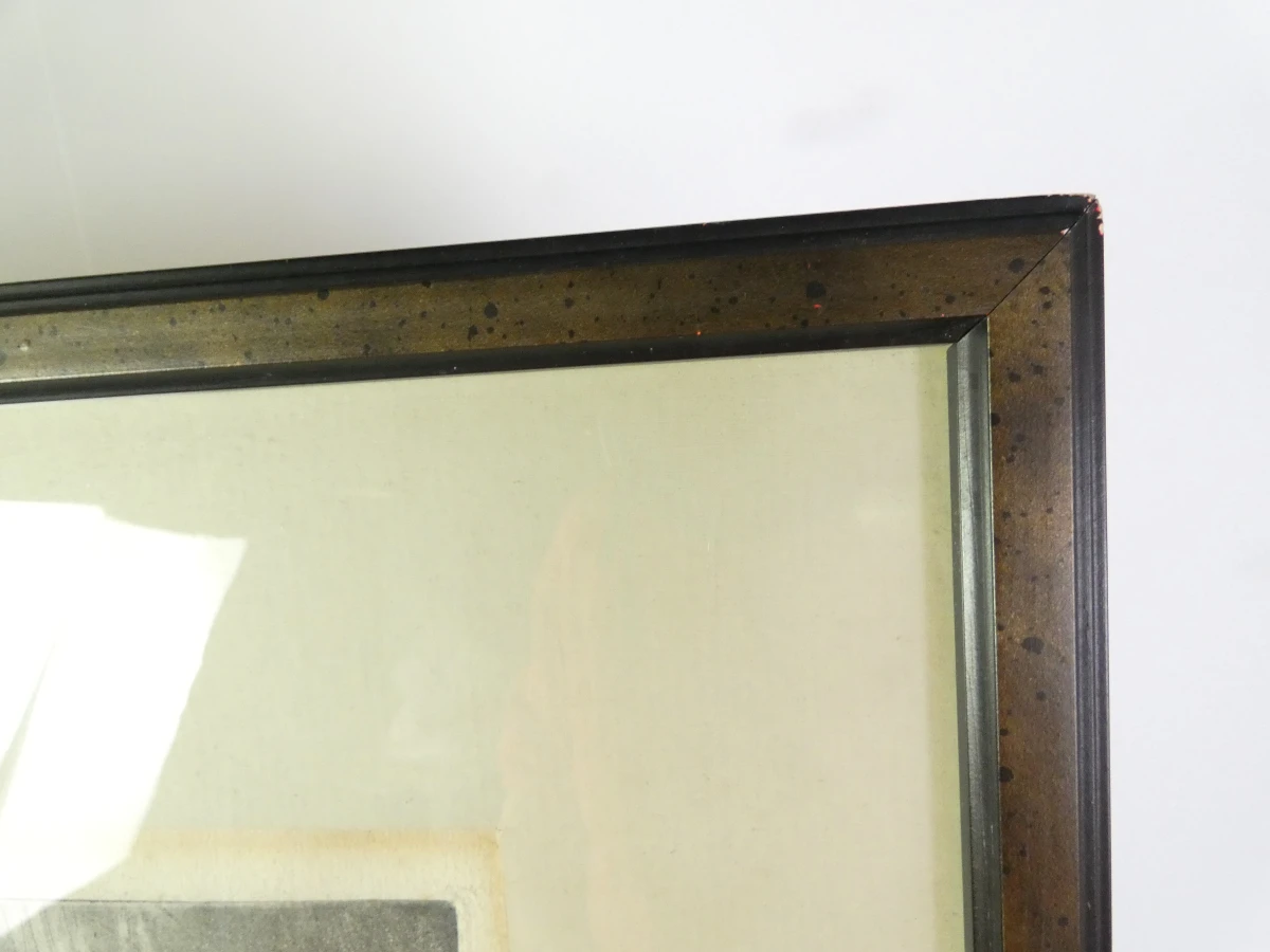 Set van 3 ingelijste litho's met buffels - foto 9