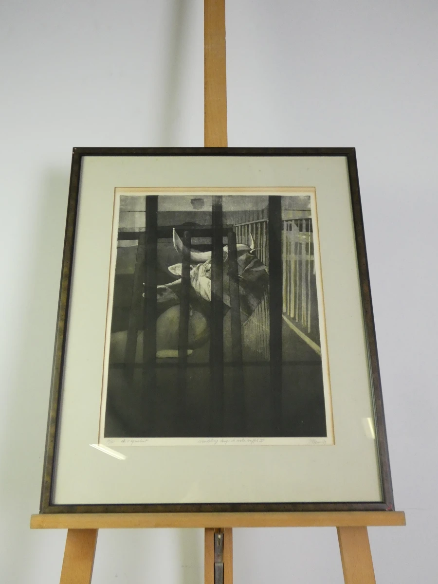 Set van 3 ingelijste litho's met buffels - foto 15
