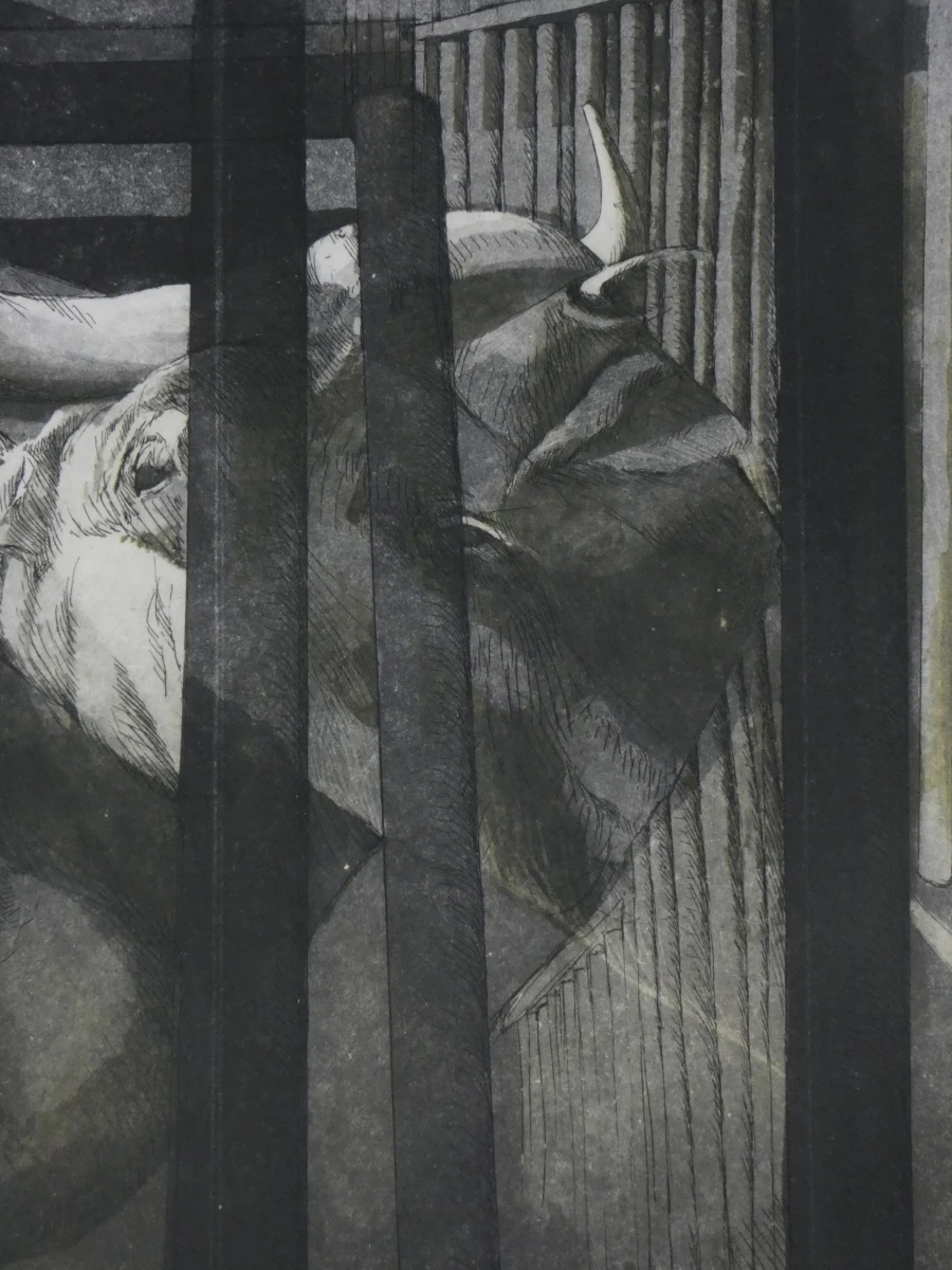 Set van 3 ingelijste litho's met buffels - foto 17