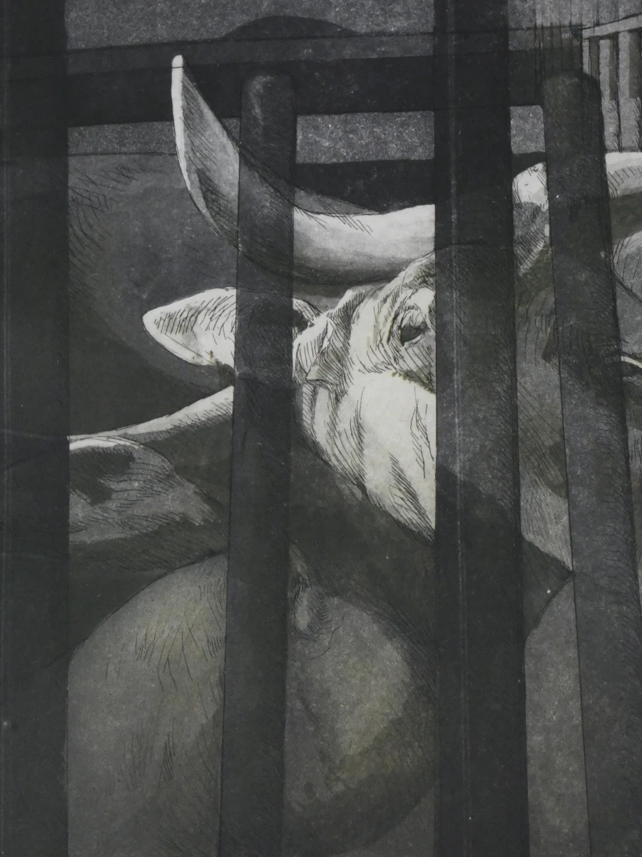 Set van 3 ingelijste litho's met buffels - foto 18