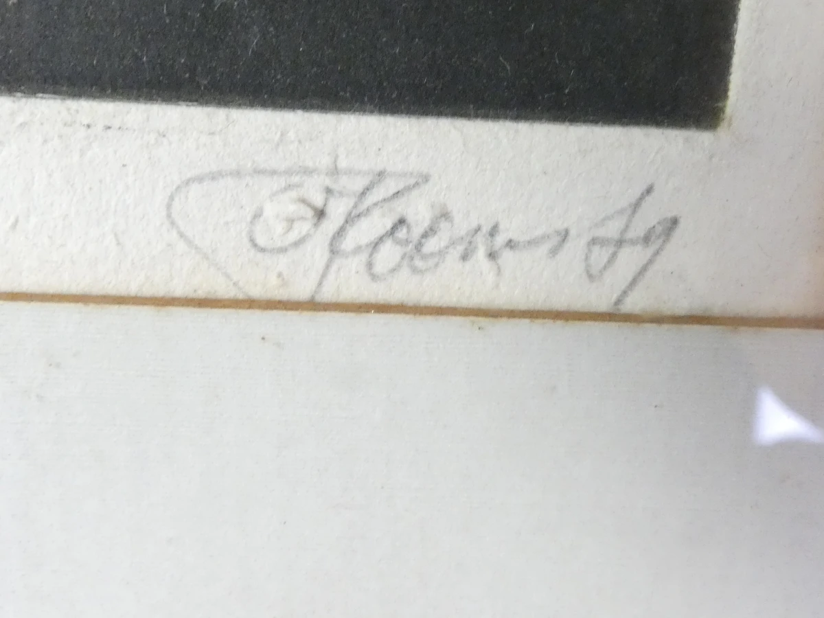 Set van 3 ingelijste litho's met buffels - foto 19