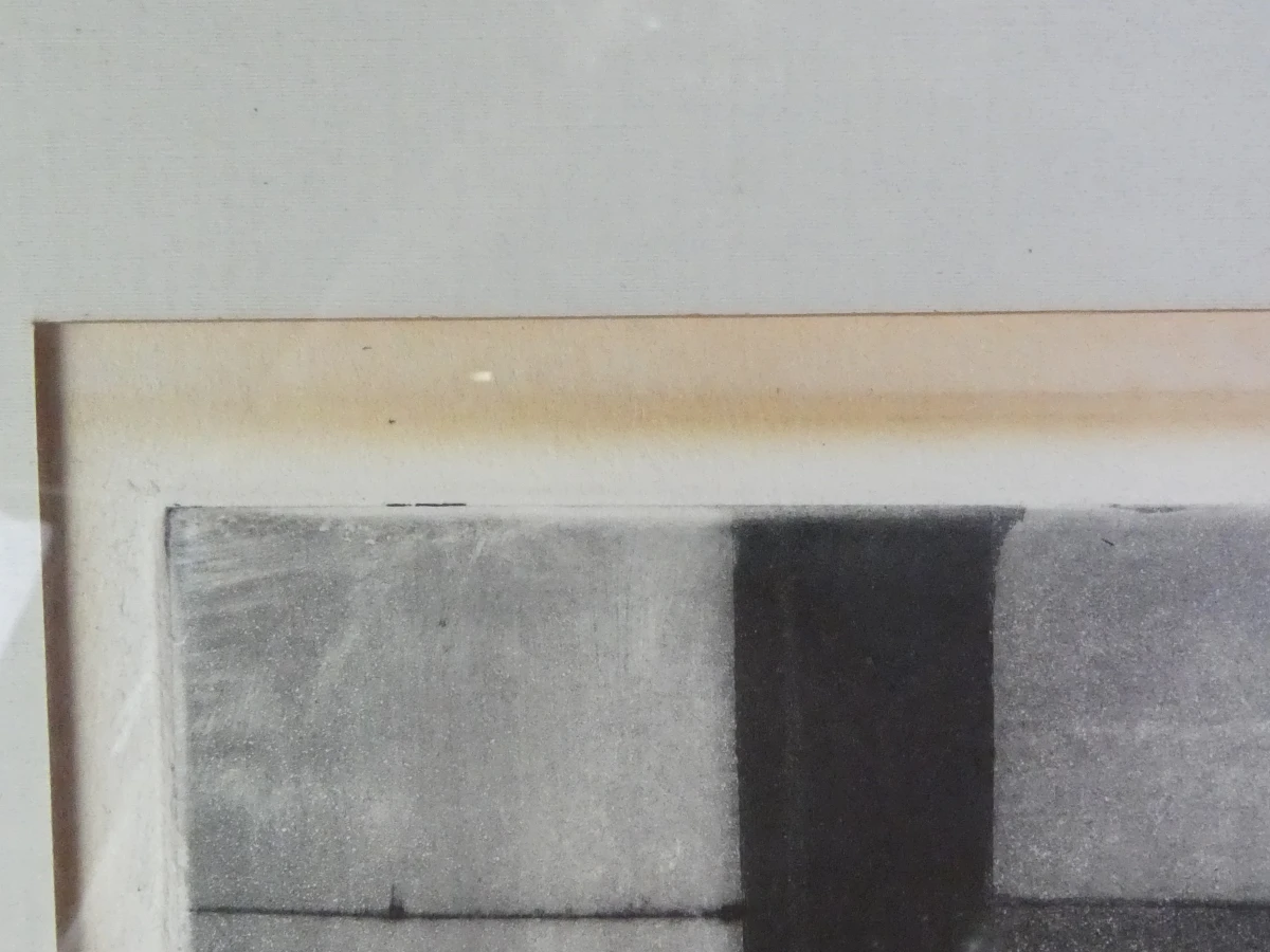 Set van 3 ingelijste litho's met buffels - foto 24