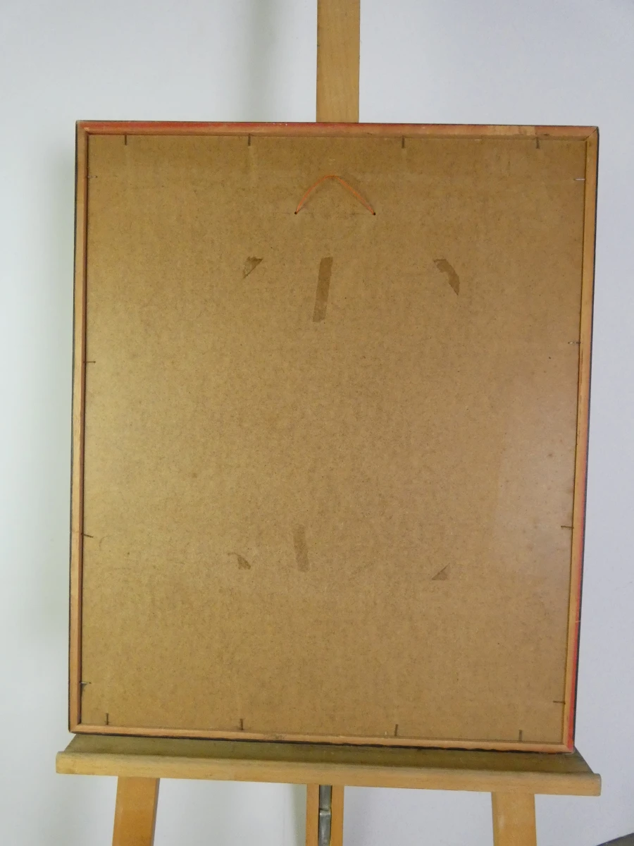 Set van 3 ingelijste litho's met buffels - foto 25