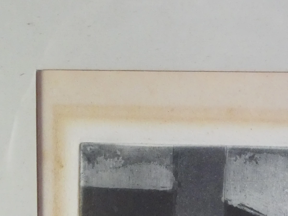 Set van 3 ingelijste litho's met buffels - foto 32