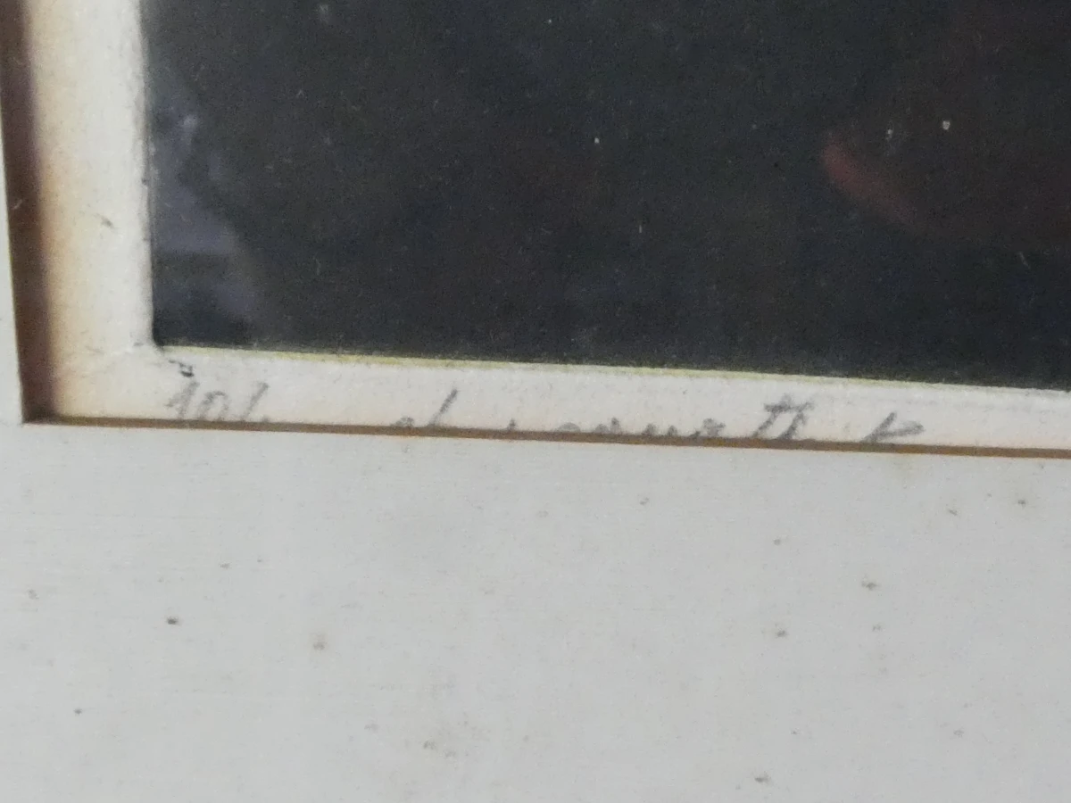 Set van 3 ingelijste litho's met buffels - foto 33
