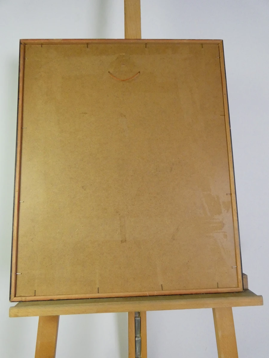 Set van 3 ingelijste litho's met buffels - foto 38