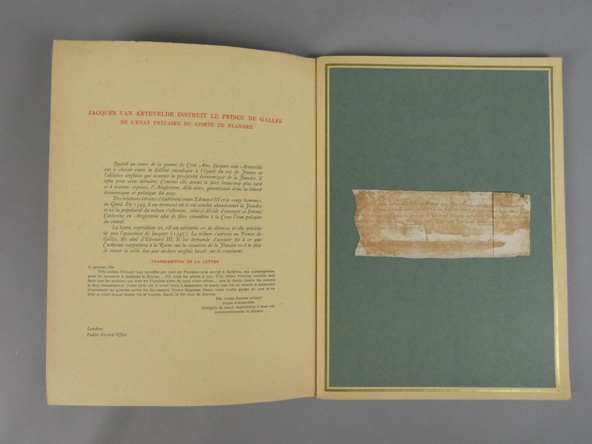 Boek Témoignages attachants de l'histoire des provinces belges