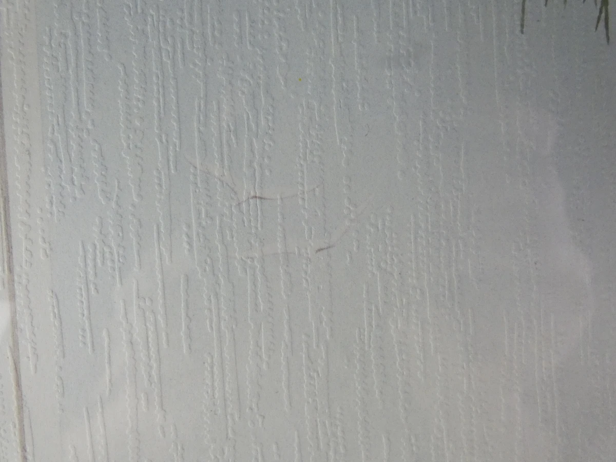 Gesigneerde ingelijste kunstprint: "Sogno=Droom"