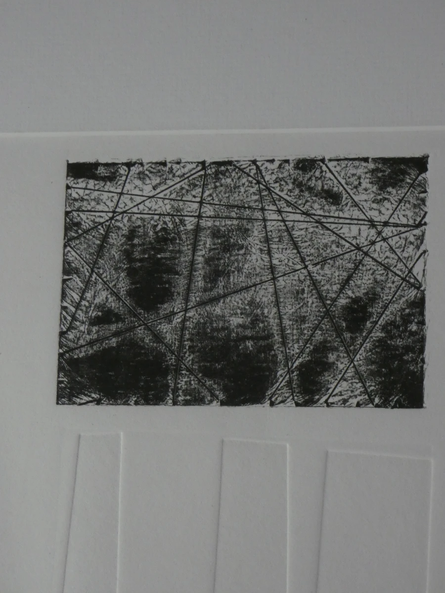 Elsa van den Hoogen – Herinnering (2018) - Materiaal-Blinddruk, 1/1