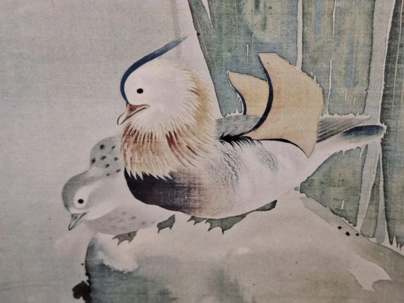 Irissen en mandarijneenden - naar Sakai Hōitsu (Rinpa-stijl) - foto 2
