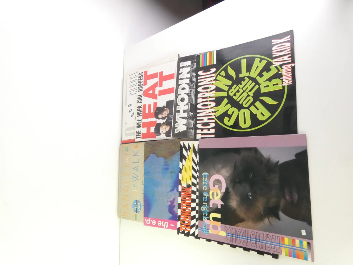12-inch singles uit de jaren 90 - 16 platen - foto 3