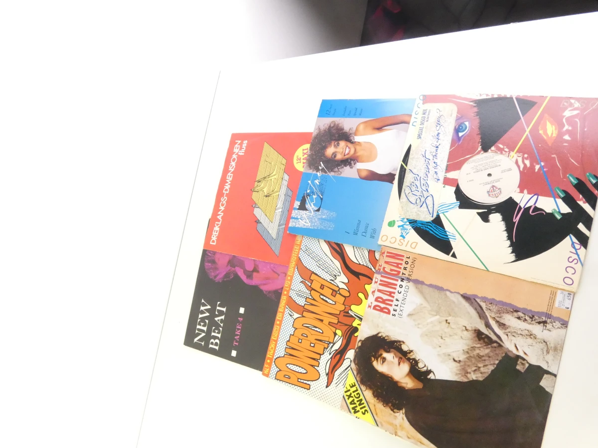 12-inch singles uit de jaren 90 - 16 platen - foto 5