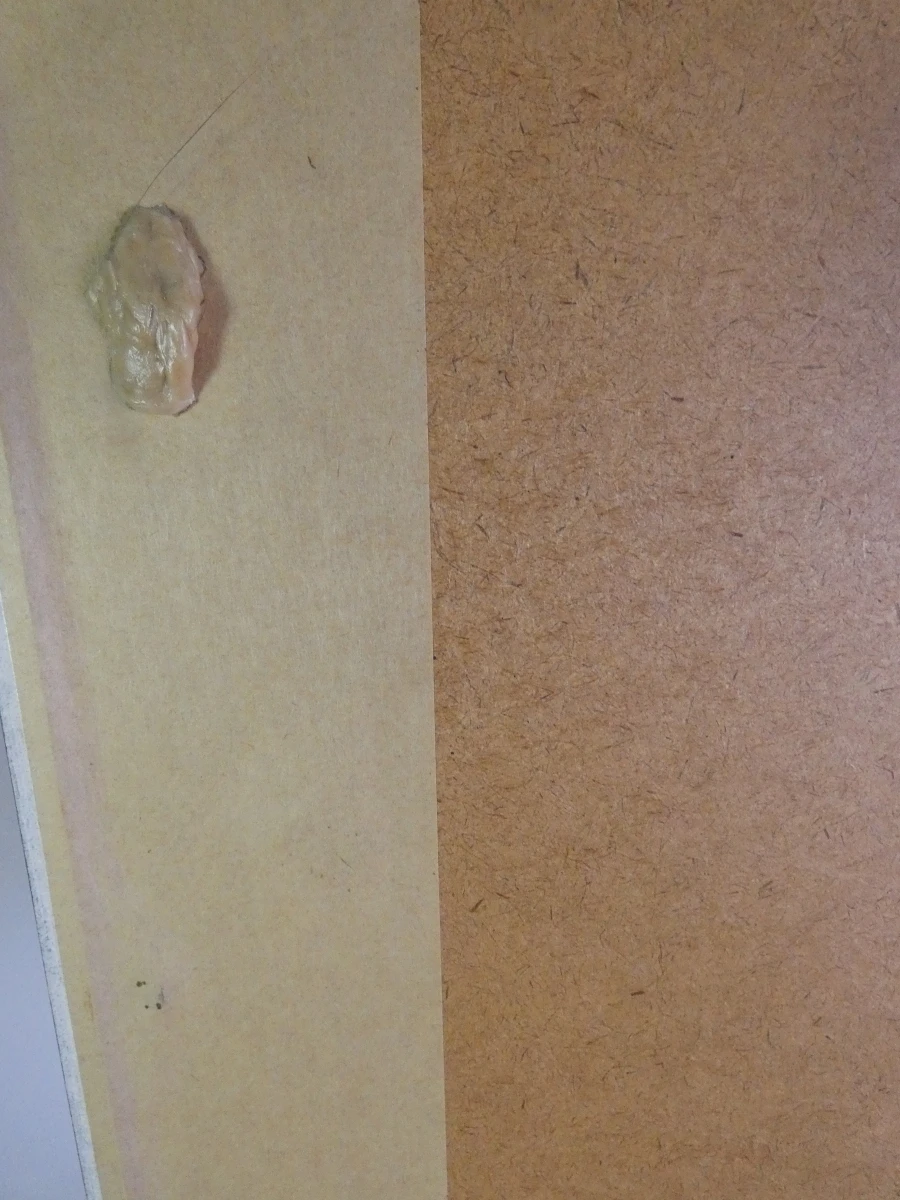 Grafische prent 'Tweestrijd' genummerd 14/27