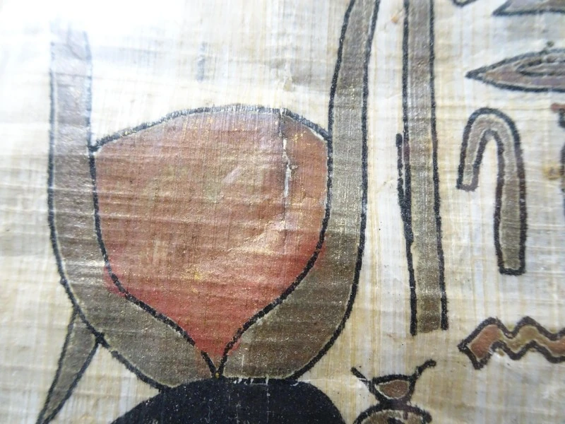 Papyrus in kader - foto 4