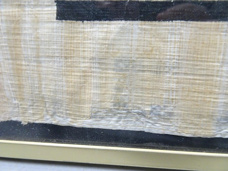 Papyrus in kader - foto 3