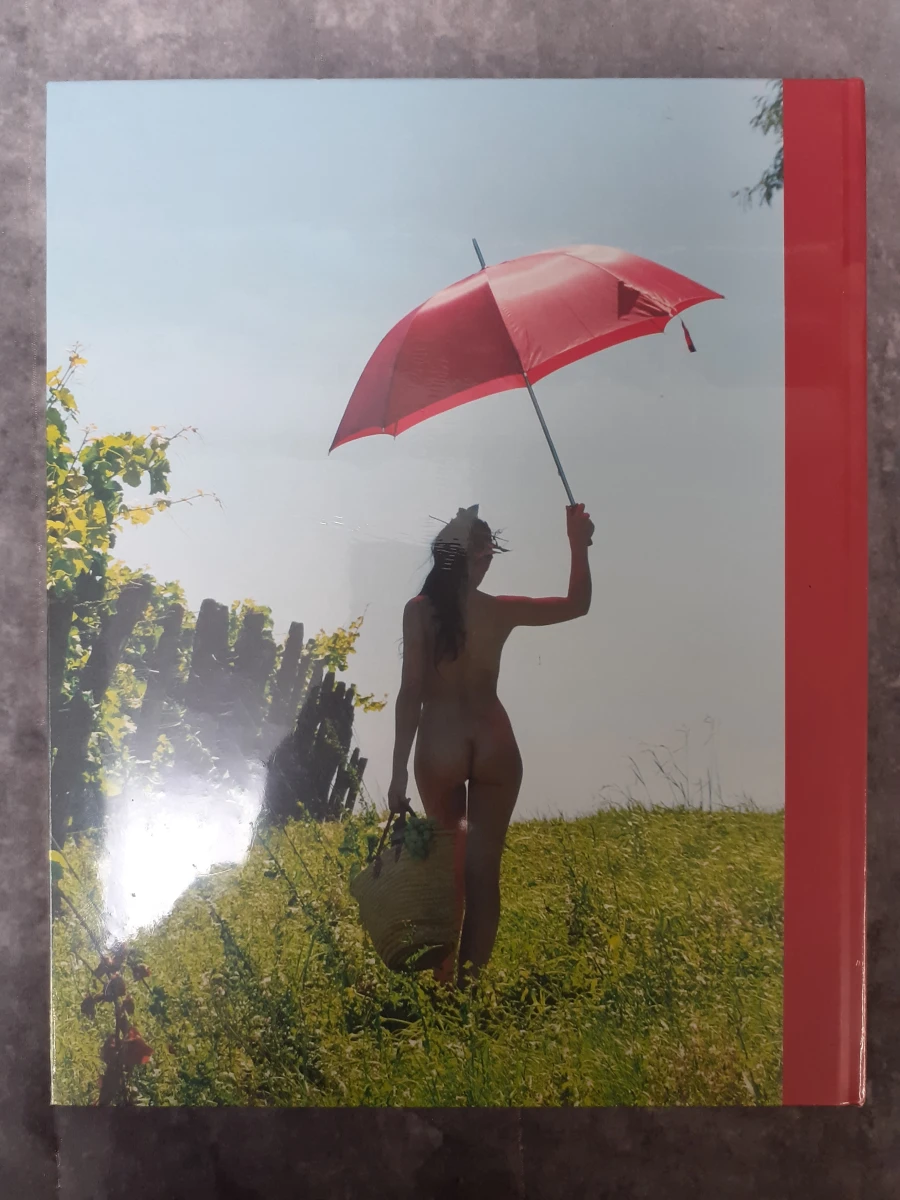 Boek: Thierry Bonnaffé - A Sensitive Touch (Nieuw) - foto 2