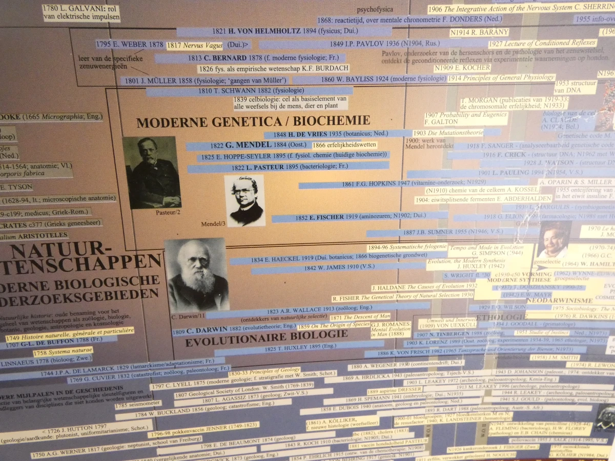 Grote educatieve tijdlijn poster met houten frame