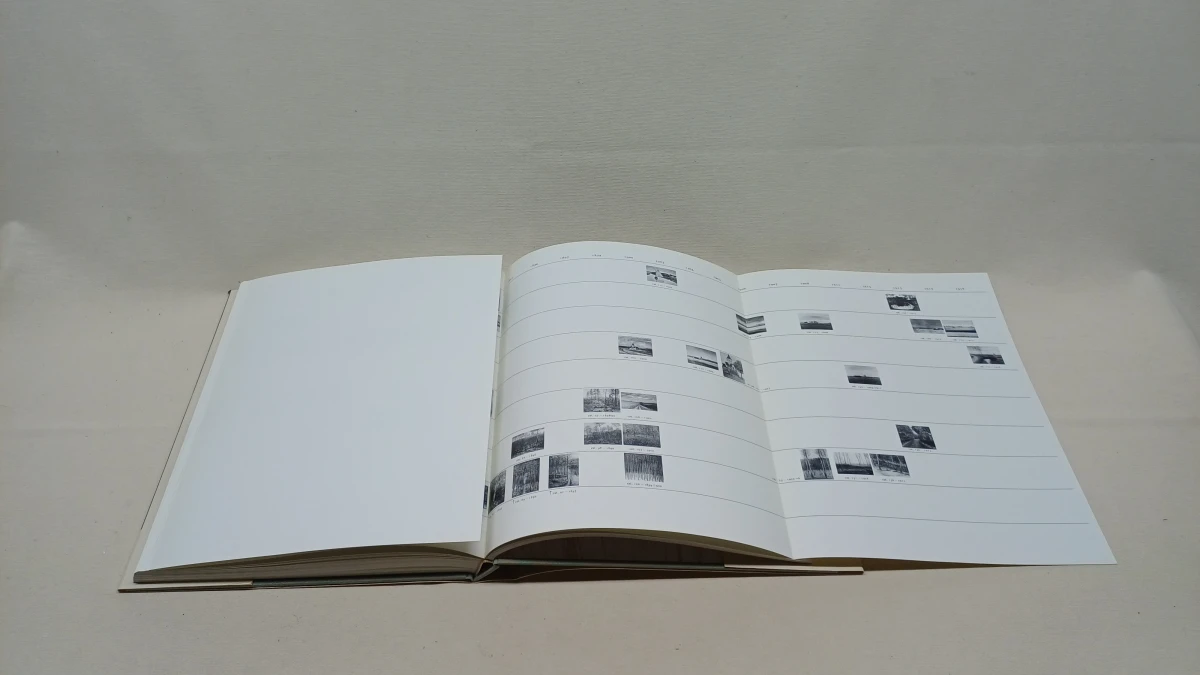 Boek Albijn Van den Abeele