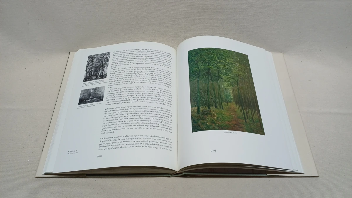 Boek Albijn Van den Abeele