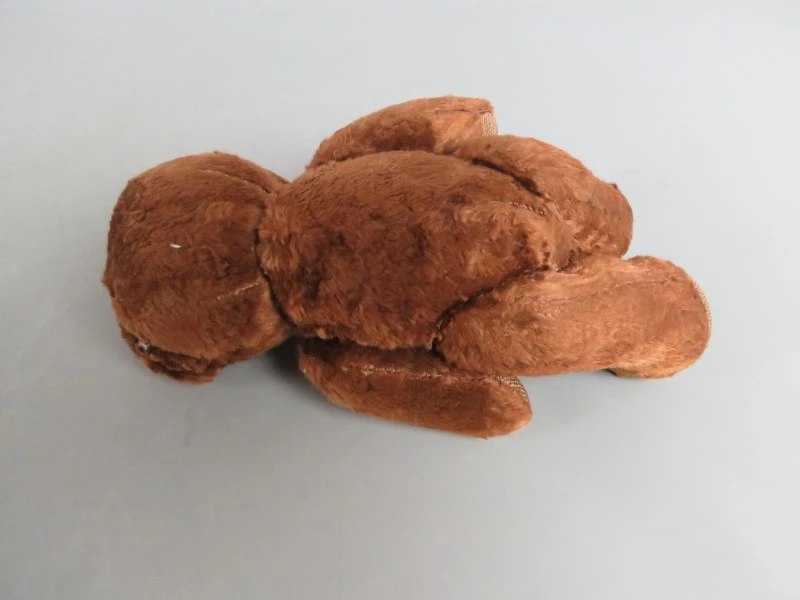 Teddy beer - foto 5