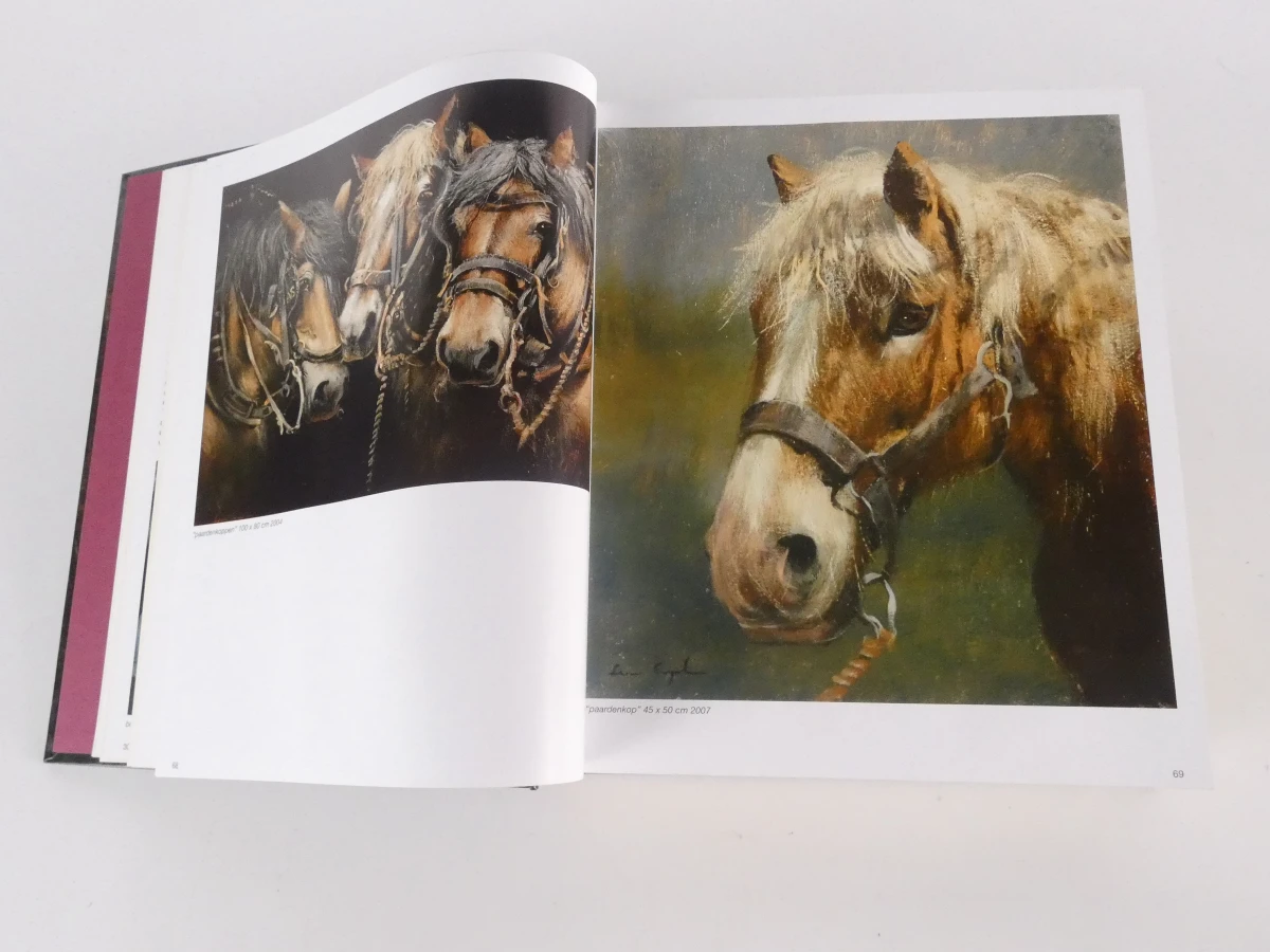 Leon Engelen - Verloren schoon kunstboek - foto 3
