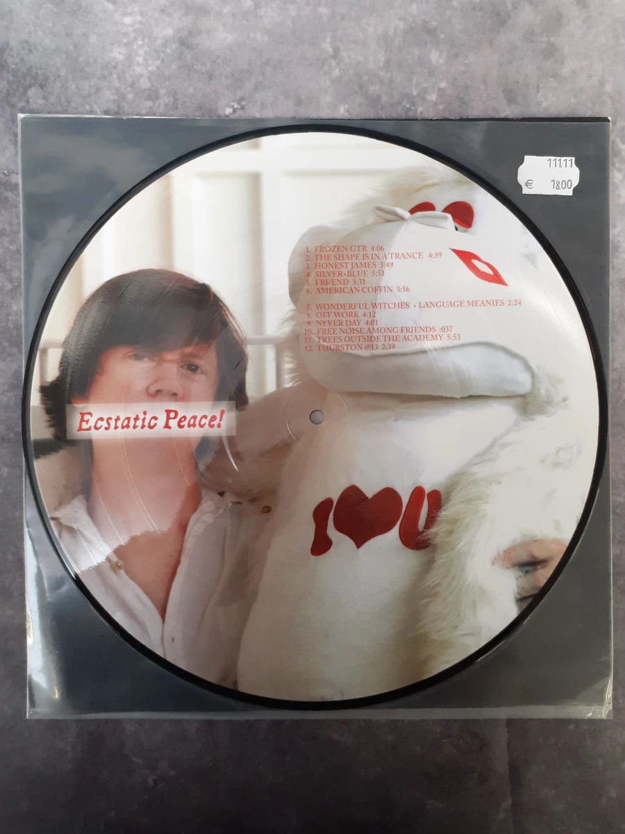 Vinyl: Thurston Moore - Trees Outside The Academy (Limited Edition Picture Disc) - foto 2