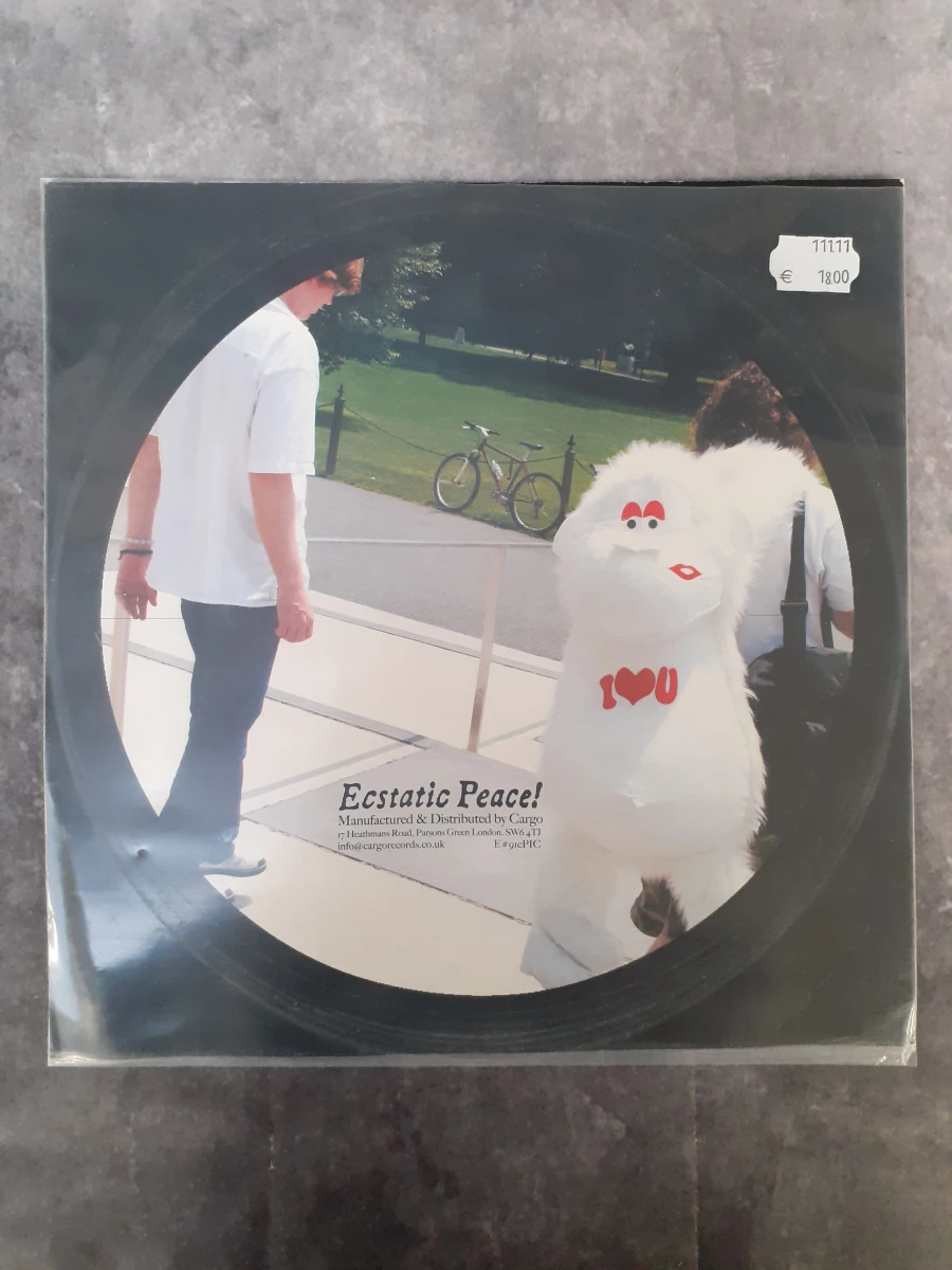 Vinyl: Thurston Moore - Trees Outside The Academy (Limited Edition Picture Disc) - foto 3