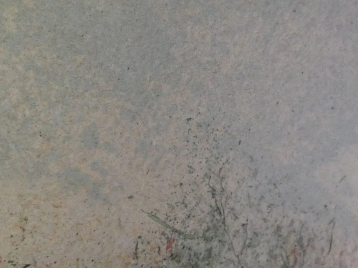 Vintage kleurenlitho - Gesigneerd Lancel