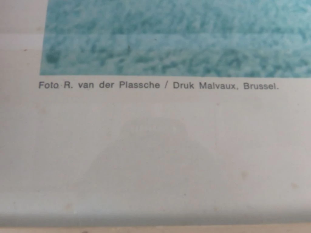 Set van 3 vintage ingelijste portretfoto's van Boudewijn en Fabiola
