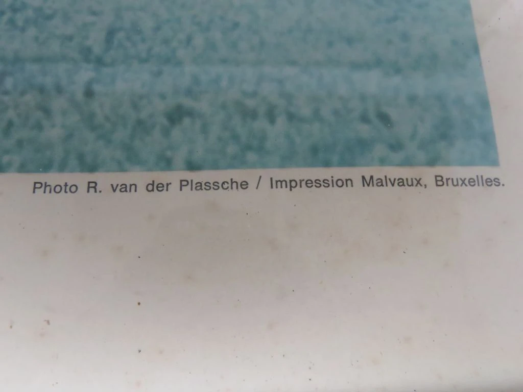 Set van 3 vintage ingelijste portretfoto's van Boudewijn en Fabiola