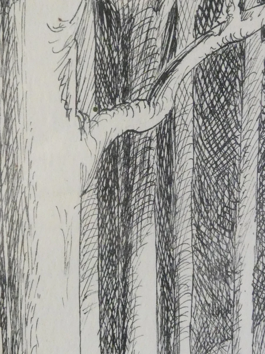 Unieke pentekening Ridder in Fanasiebos