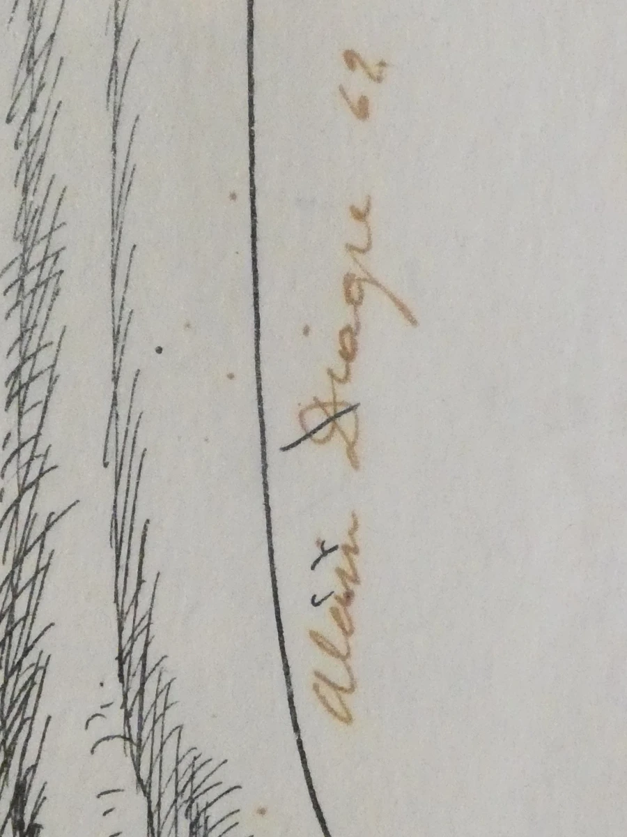 Unieke pentekening Ridder in Fanasiebos