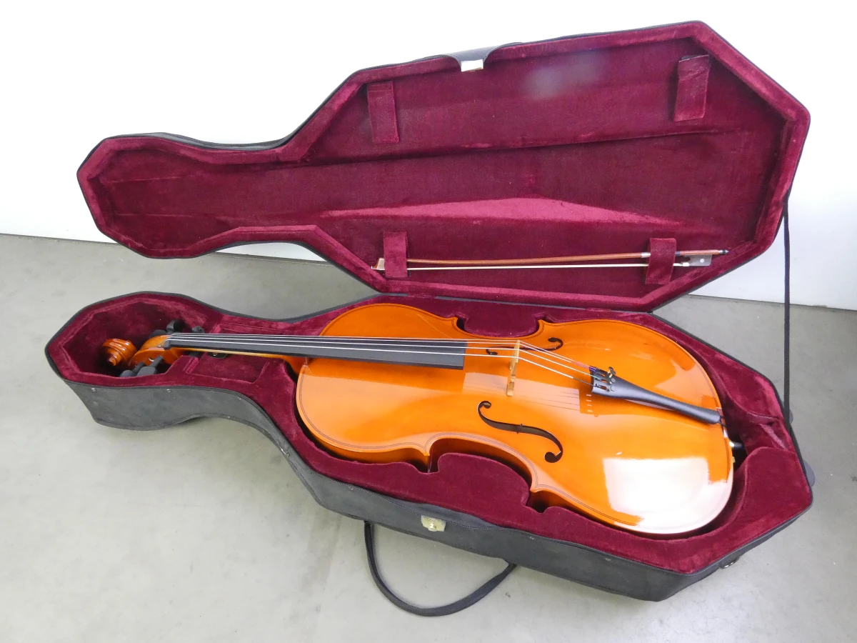 Cello met koffer en strijkstok - foto 15