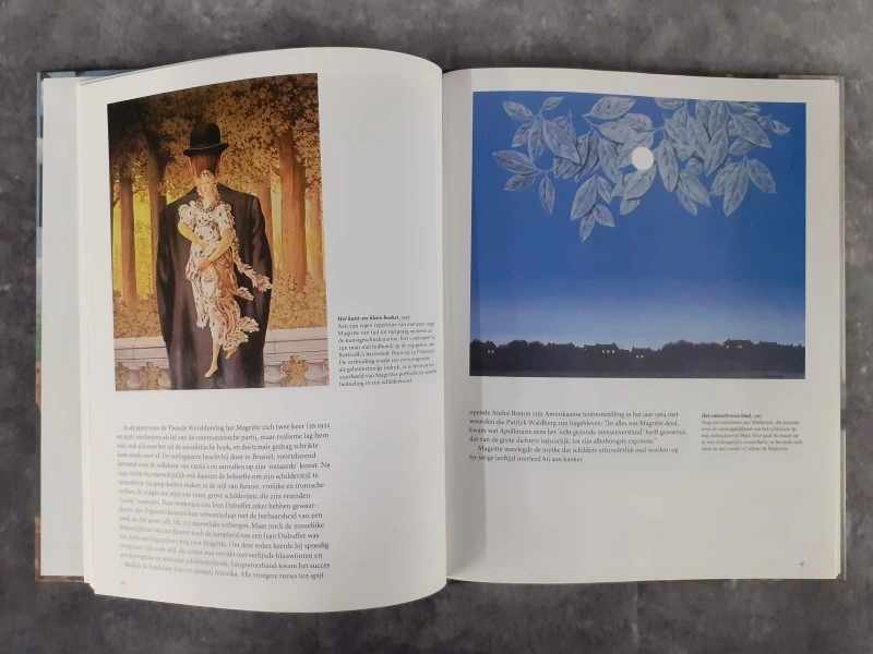 Boek: De Morgen: 20-delige kunstcollectie - Meesterlijk Modern - foto 10