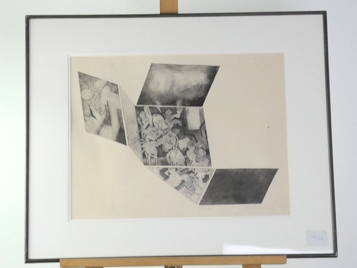 Gesigneerde litho in lijst, genummerd 30/100