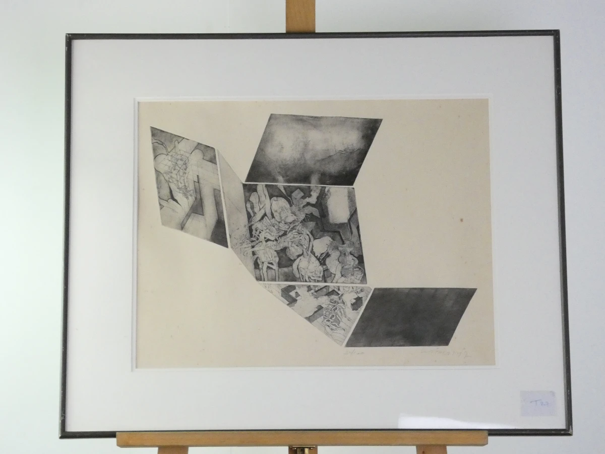 Gesigneerde litho in lijst, genummerd 30/100