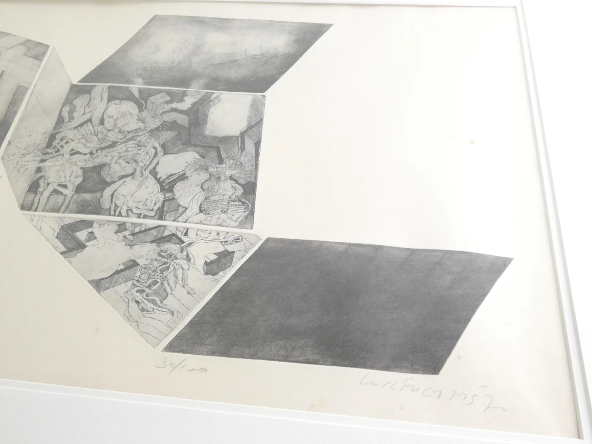 Gesigneerde litho in lijst, genummerd 30/100