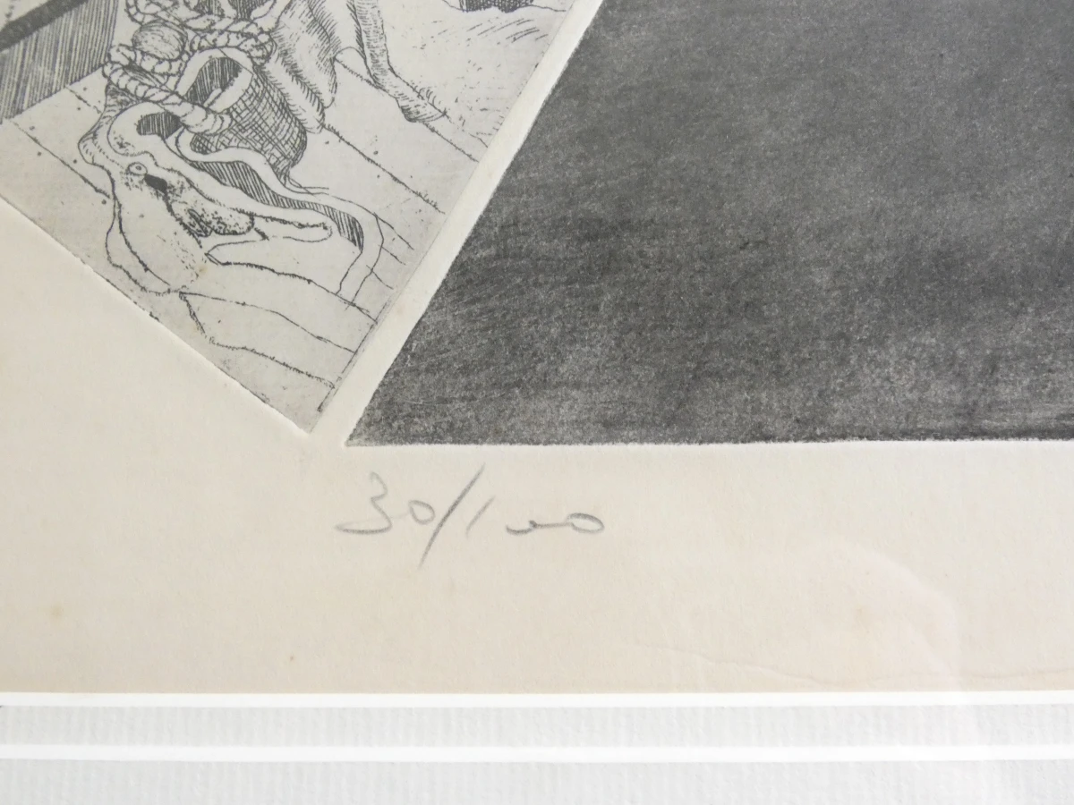Gesigneerde litho in lijst, genummerd 30/100