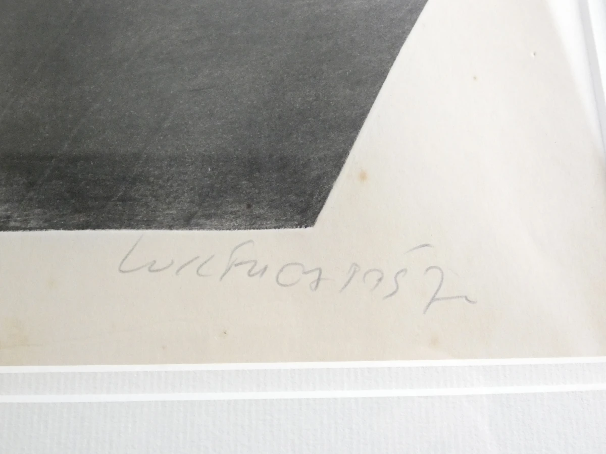 Gesigneerde litho in lijst, genummerd 30/100