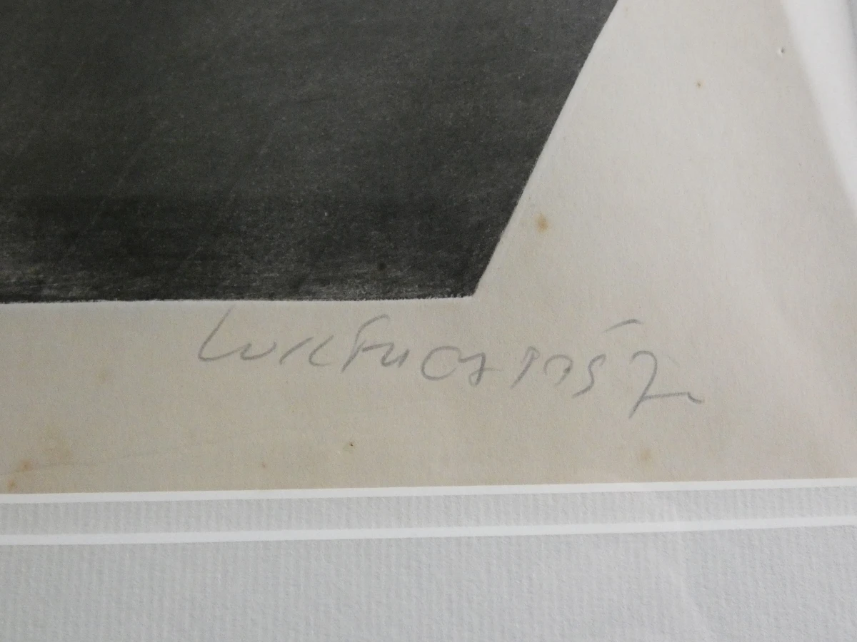 Gesigneerde litho in lijst, genummerd 30/100